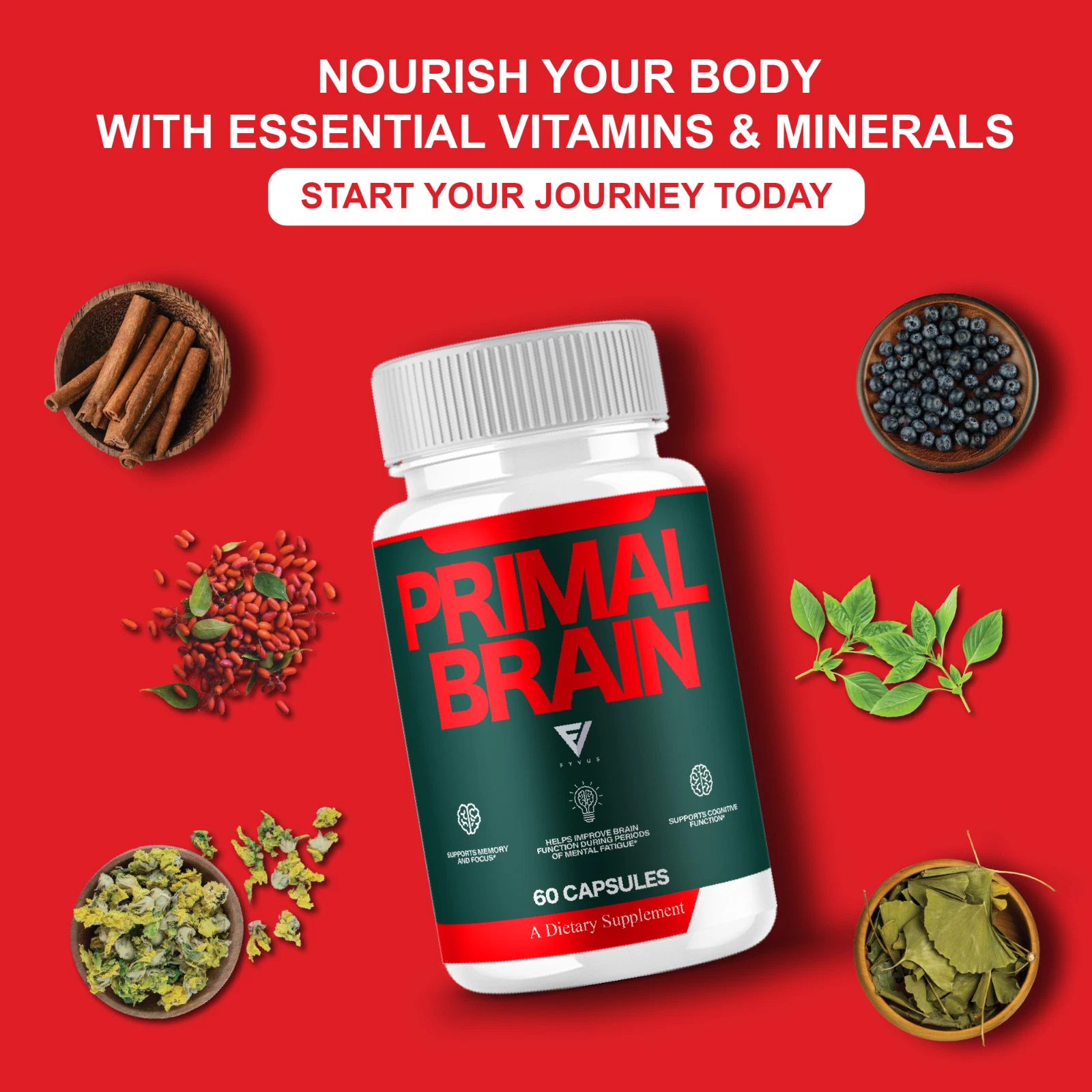 Primal Brain cognitive support supplement